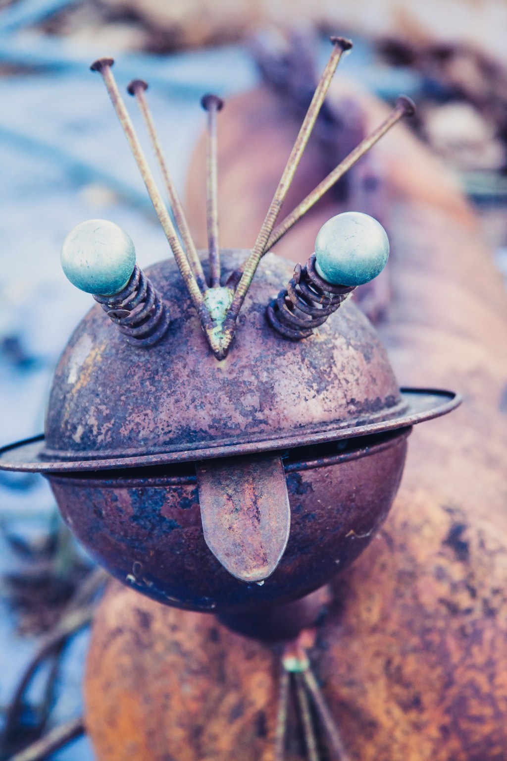 A Day at the&nbsp;Zoo